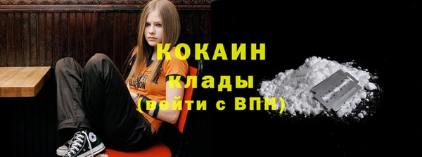 дживик Бердск