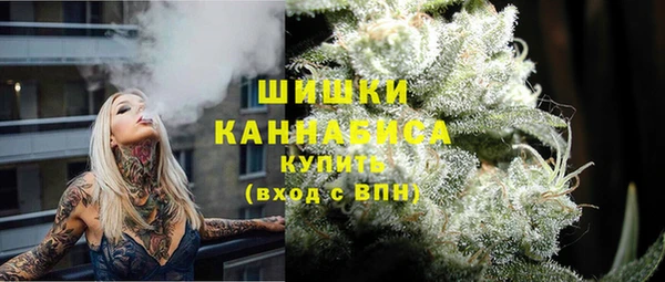 твердый Медногорск